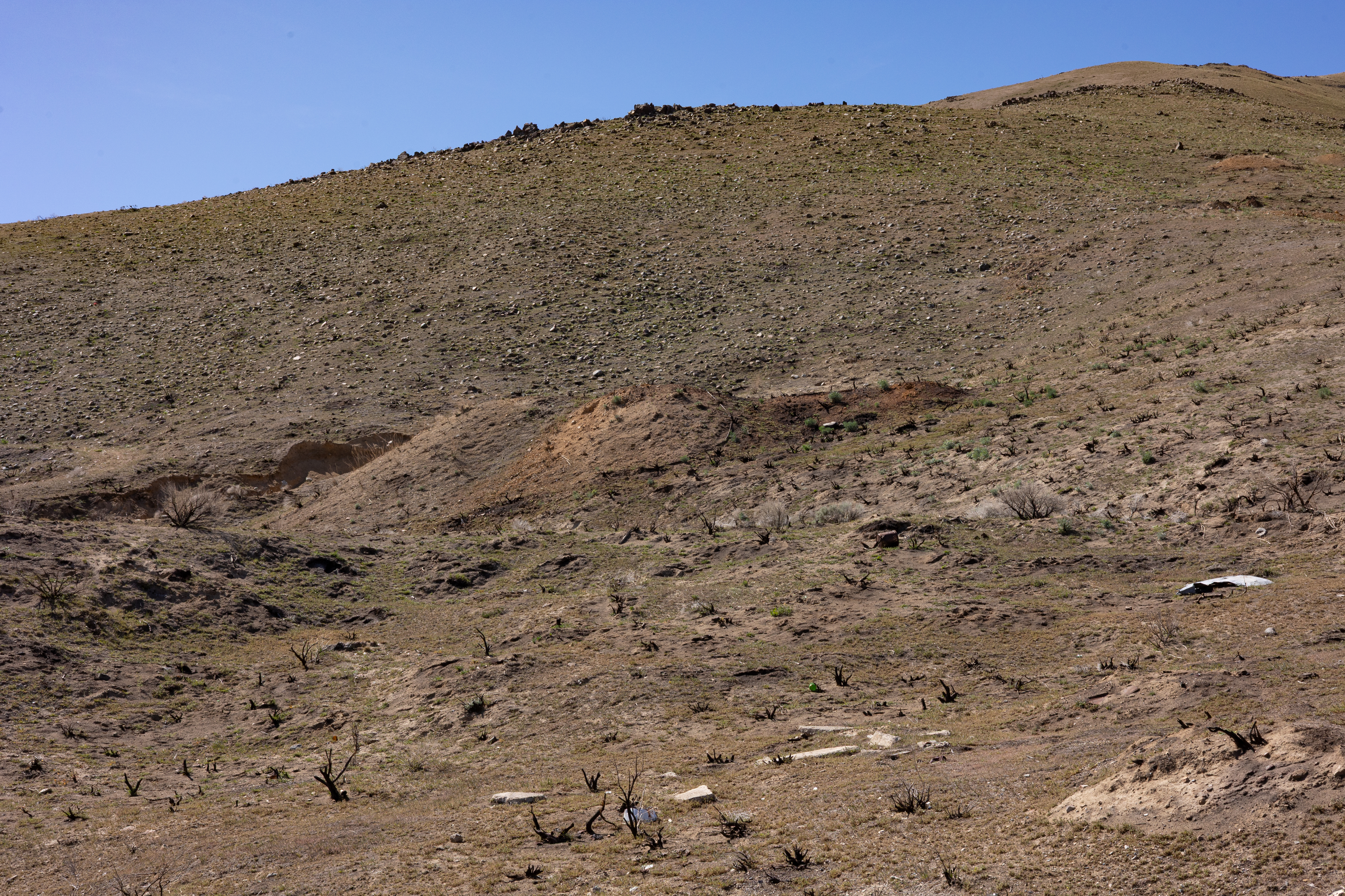 The Winna-Winner Claims — site photograph _61_6234