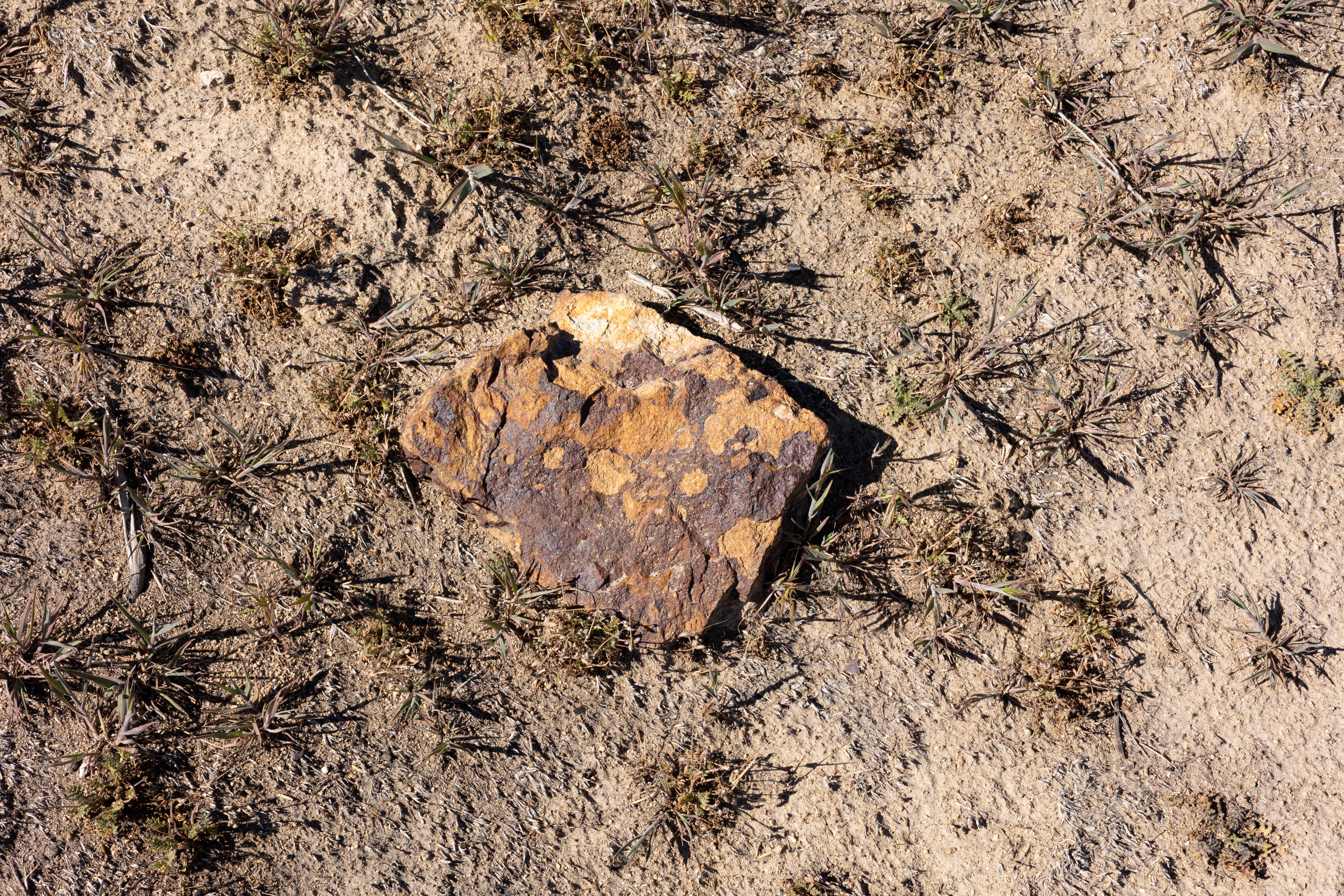 The Winna-Winner Claims — site photograph _61_6237