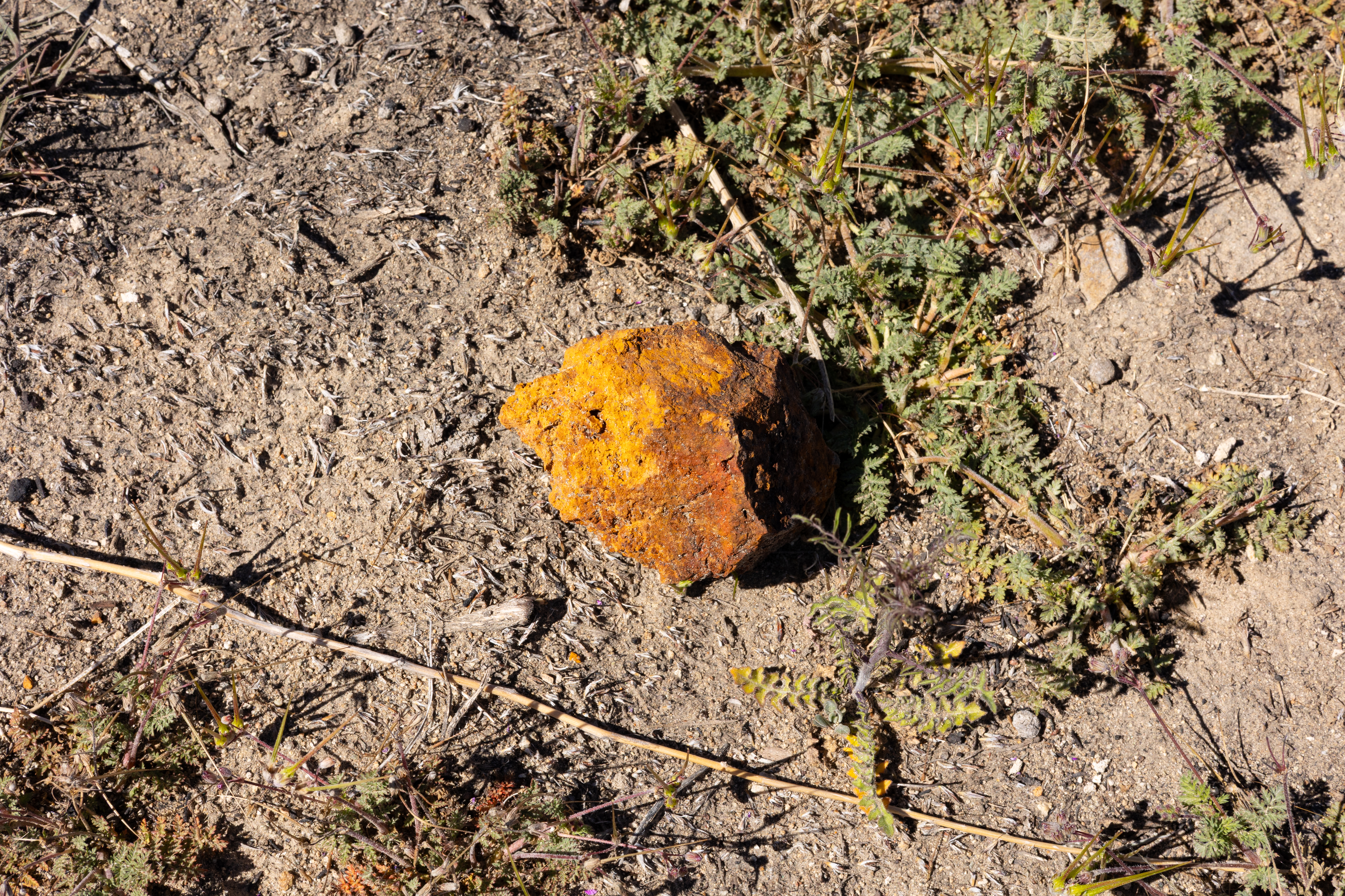 The Winna-Winner Claims — site photograph _61_6239