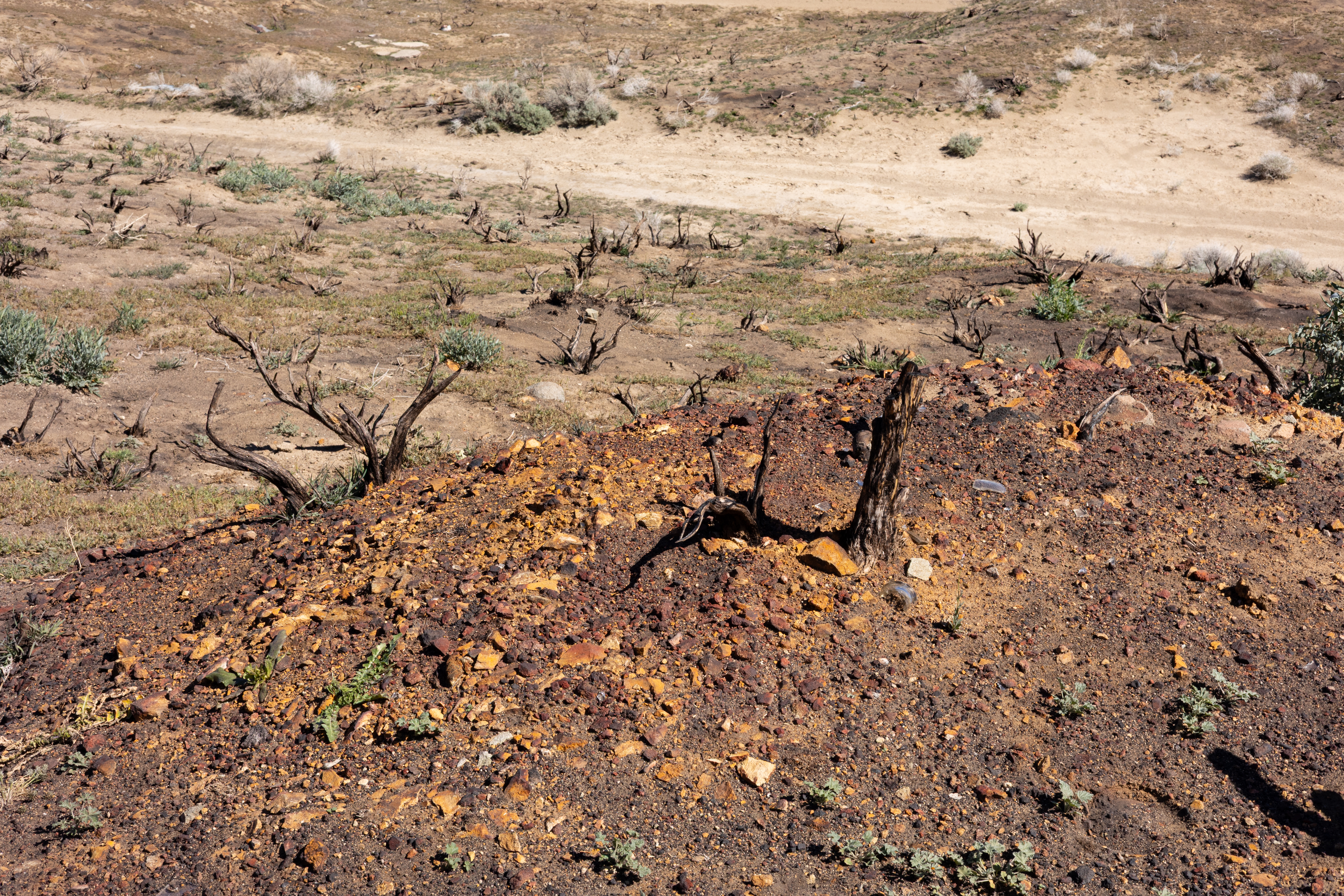 The Winna-Winner Claims — site photograph _61_6242