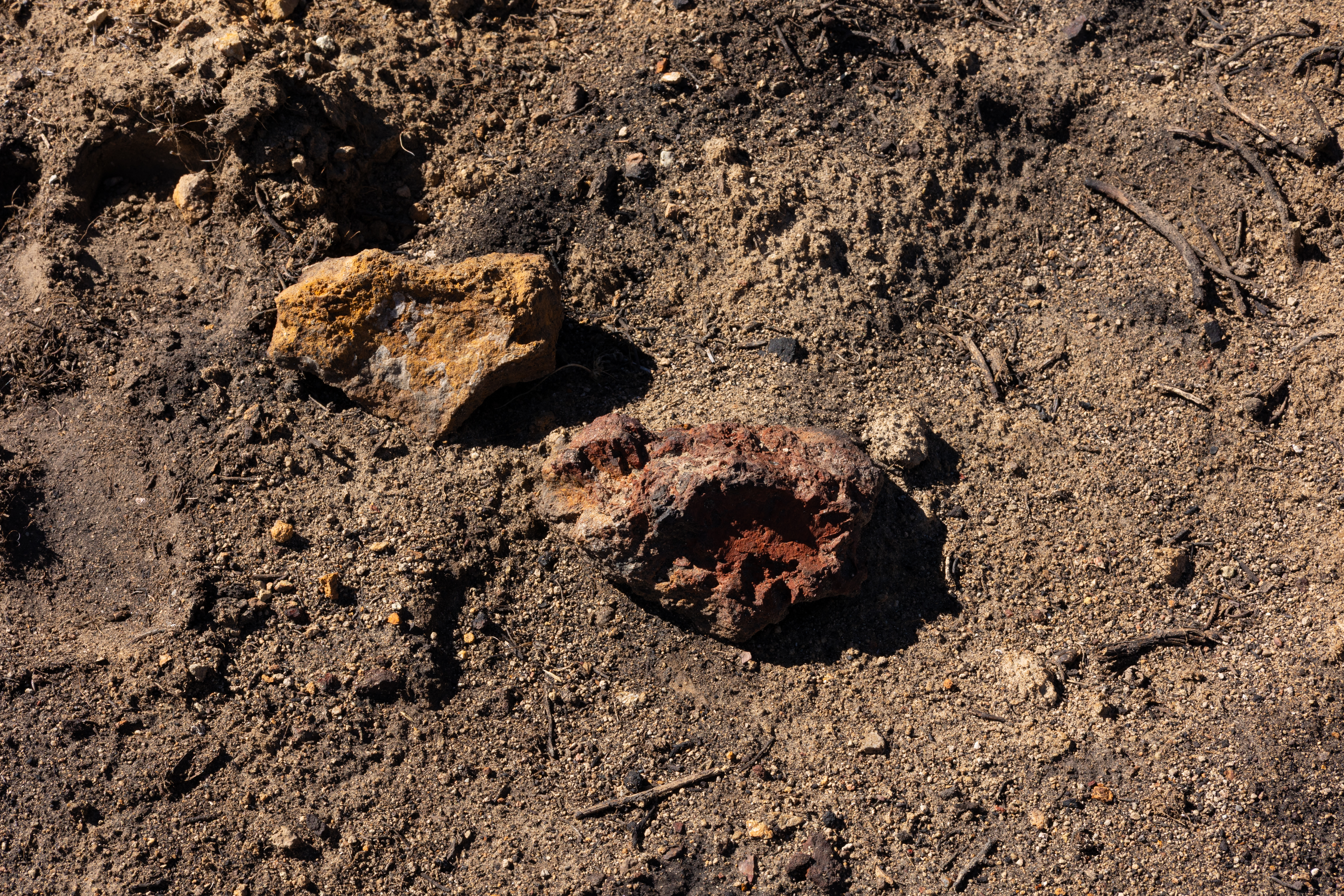 The Winna-Winner Claims — site photograph _61_6246