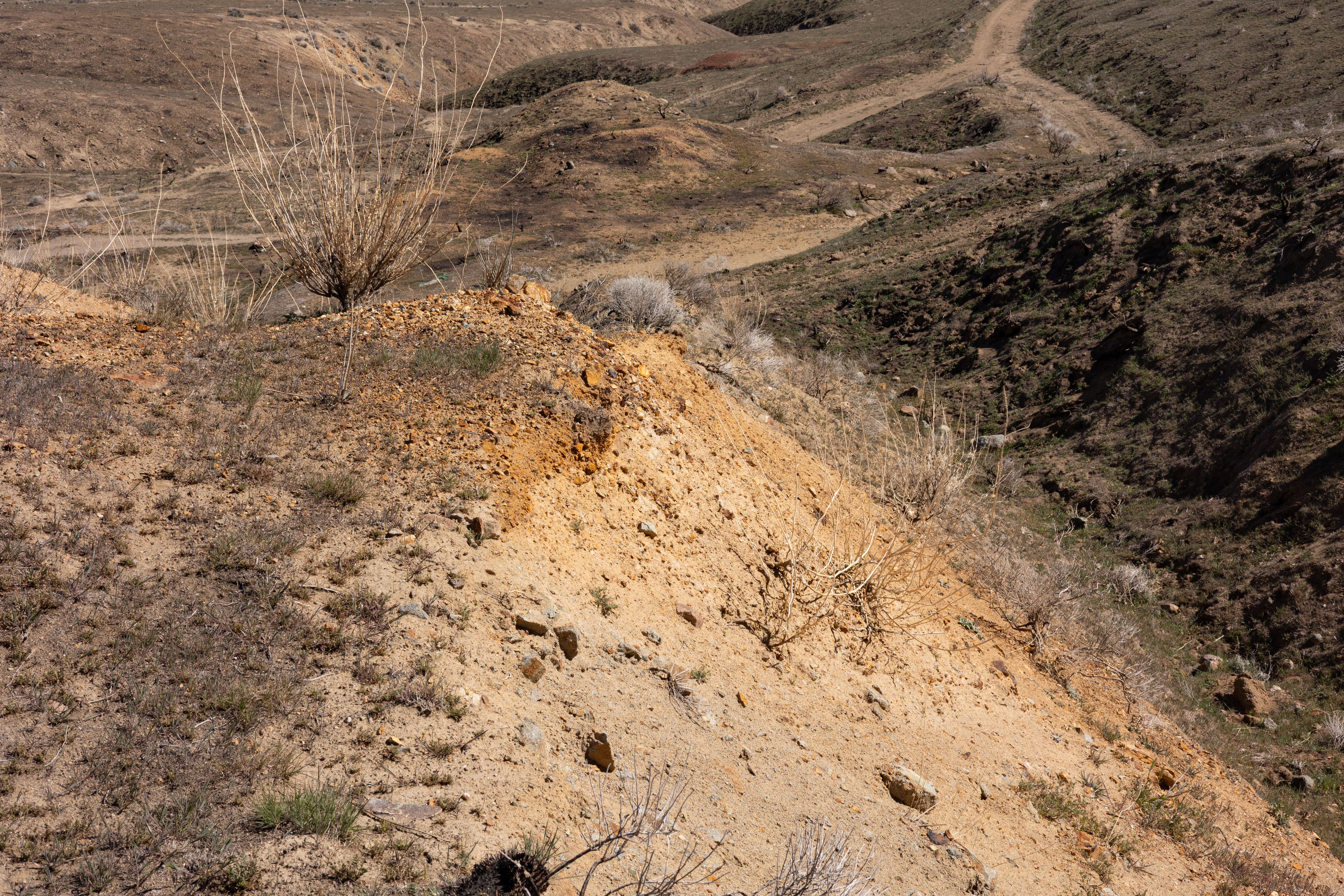 The Winna-Winner Claims — site photograph _61_6249