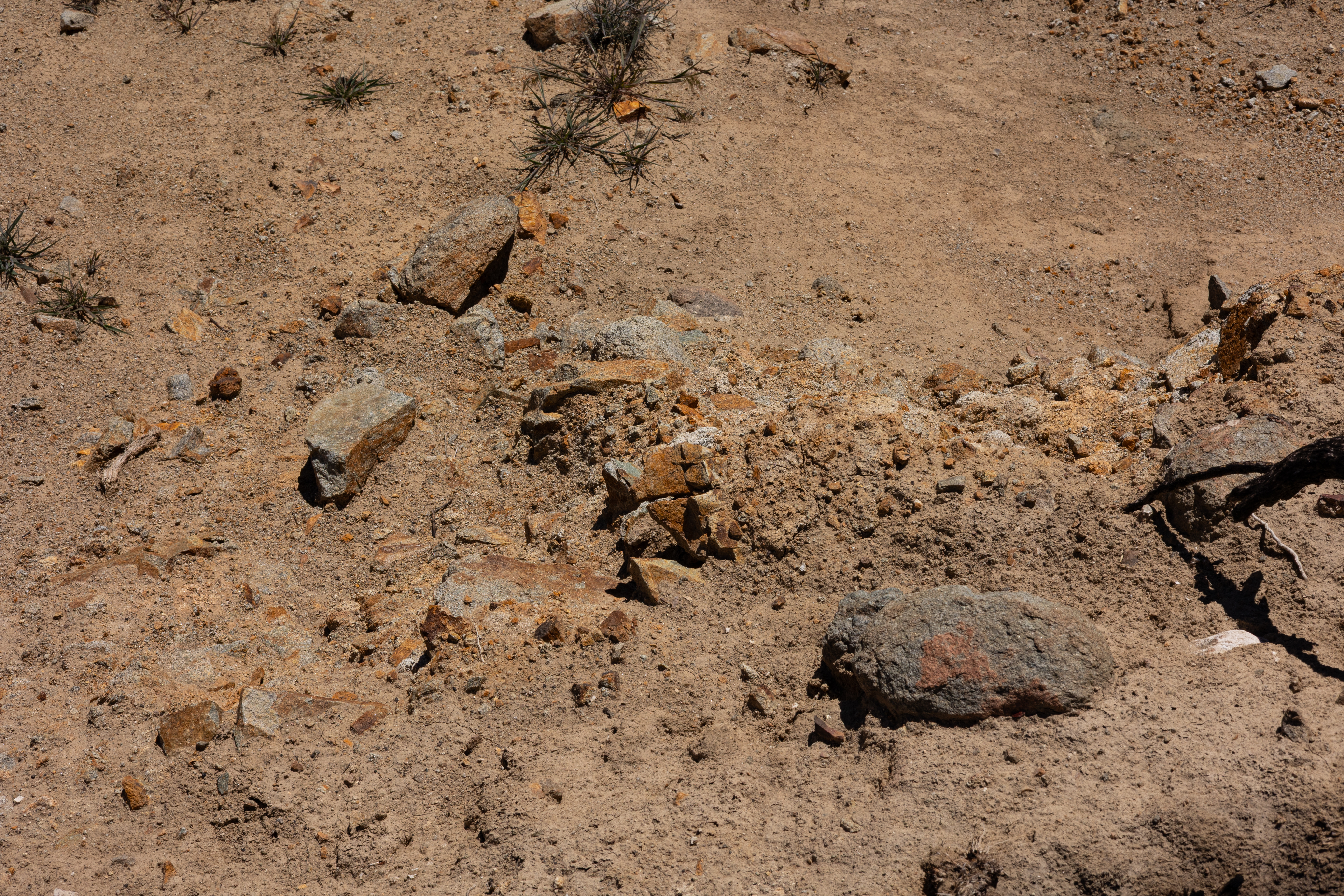 The Winna-Winner Claims — site photograph _61_6251