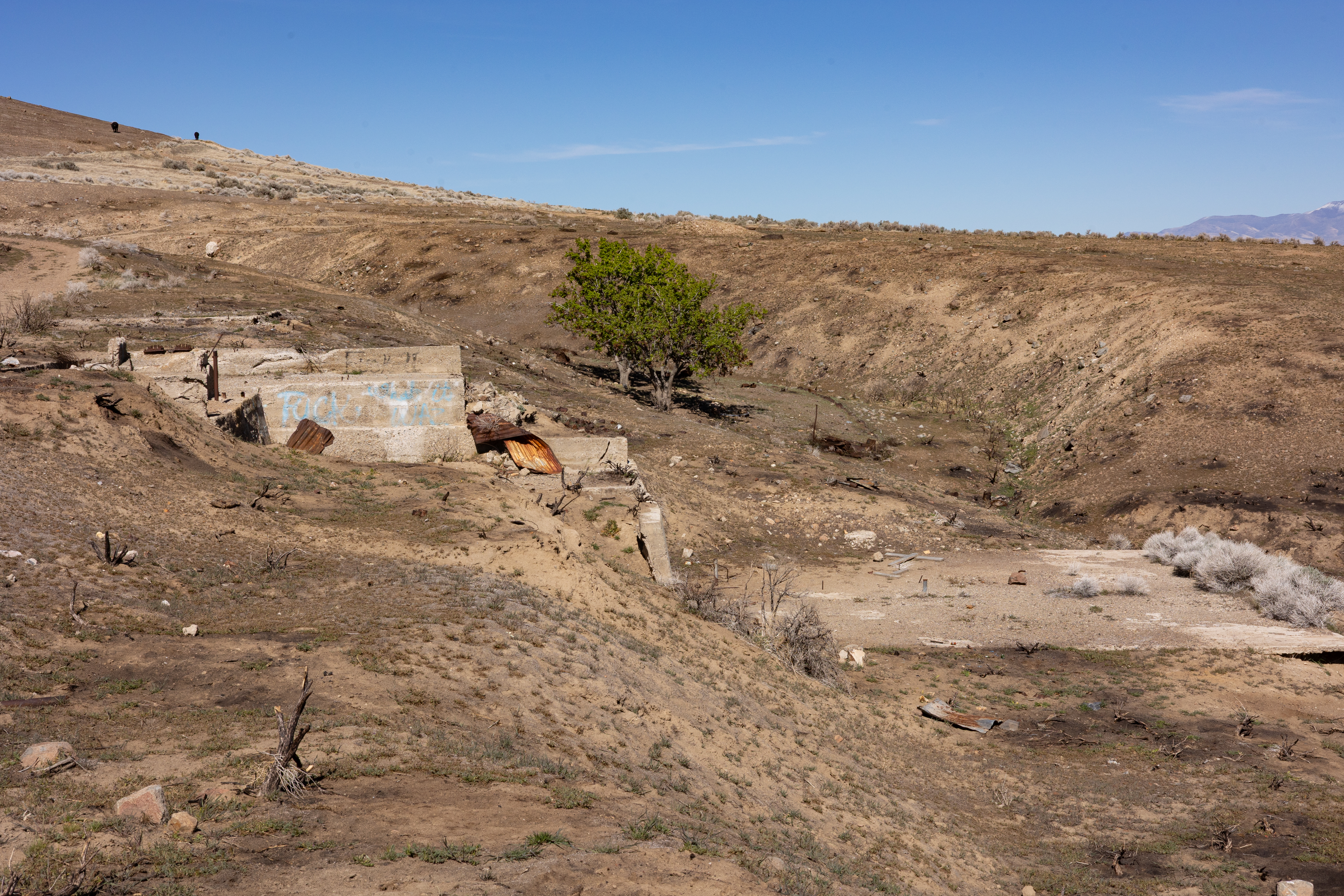 The Winna-Winner Claims — site photograph _61_6255
