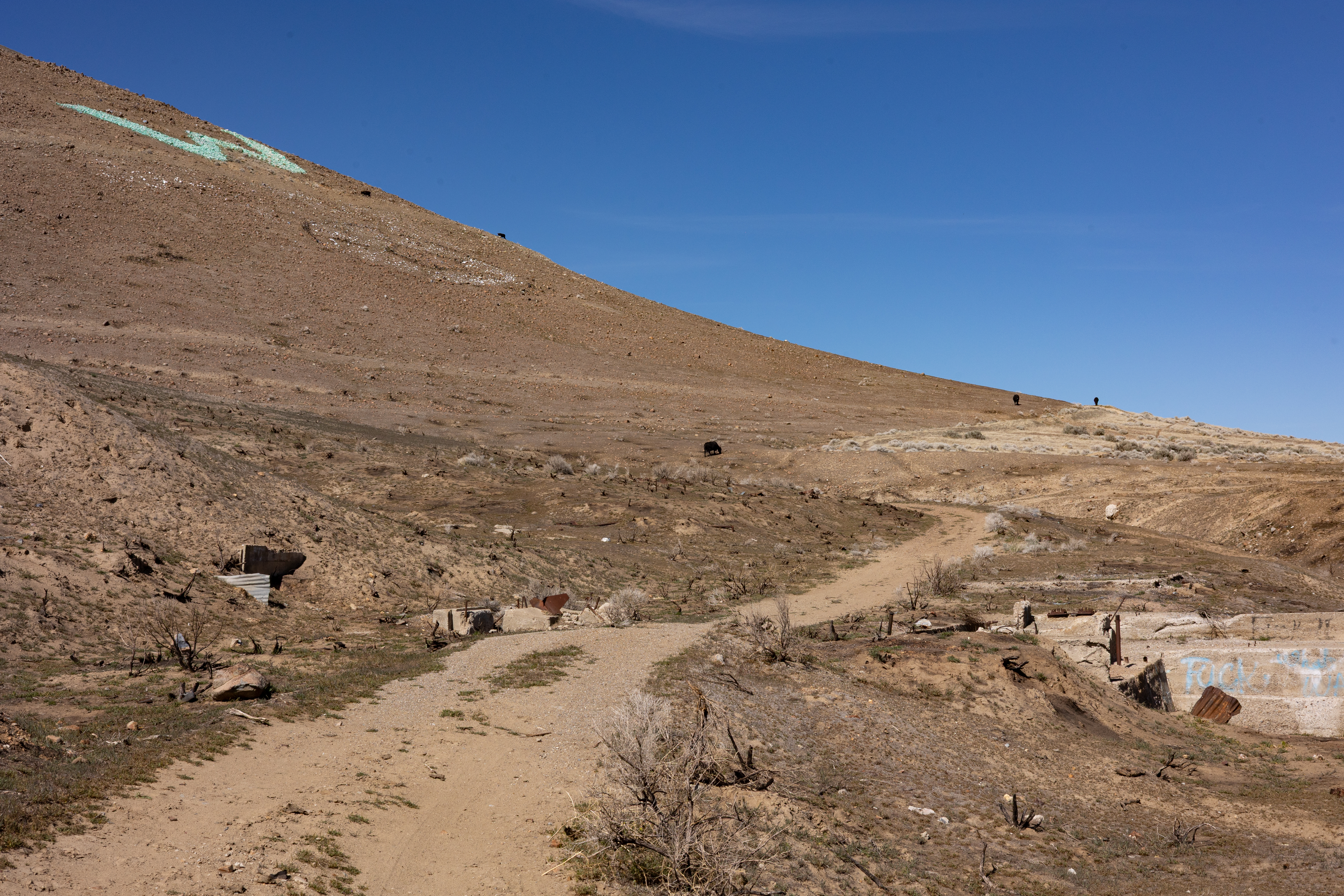 The Winna-Winner Claims — site photograph _61_6256