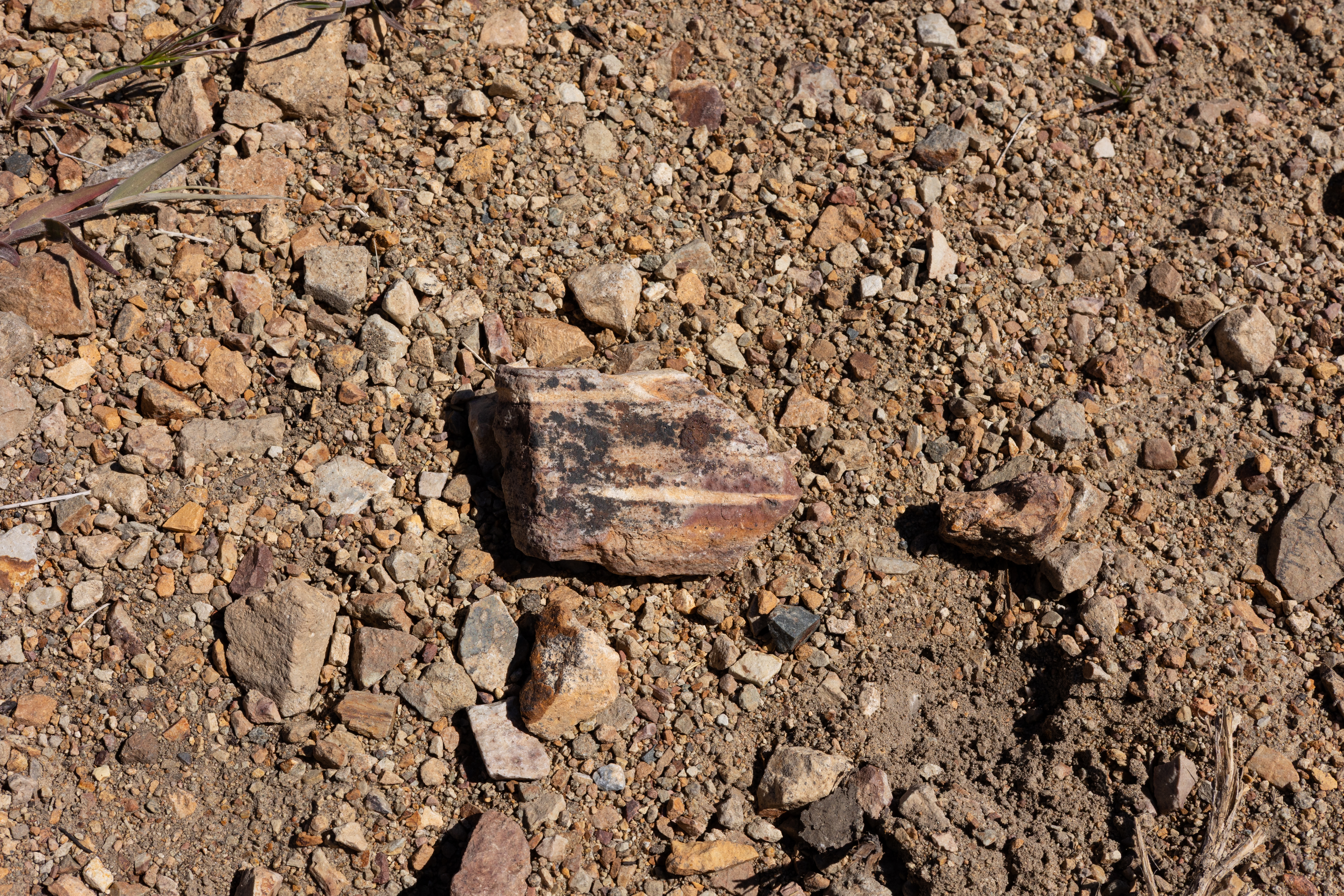 The Winna-Winner Claims — site photograph _61_6259