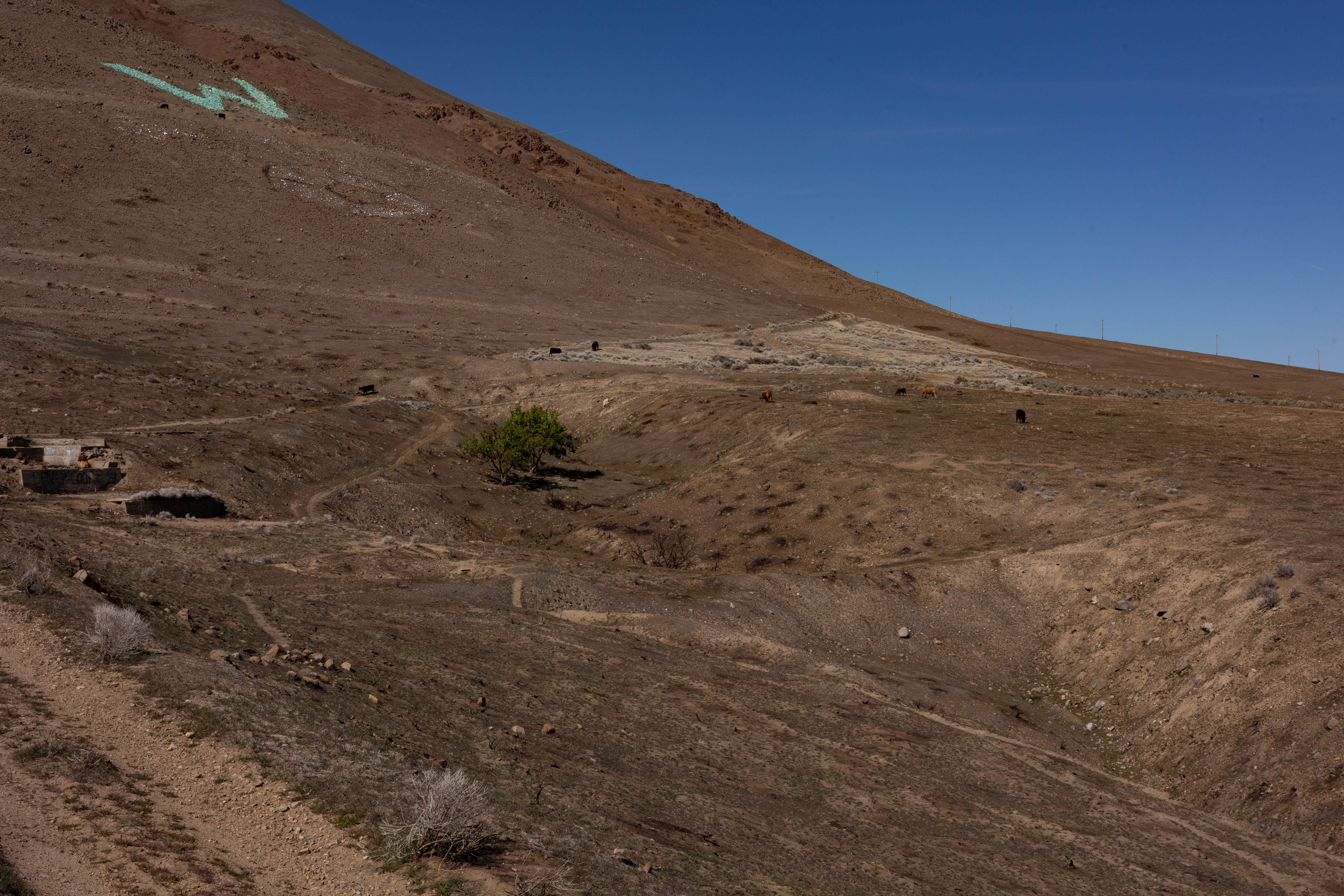The Winna-Winner Claims — site photograph _61_6268
