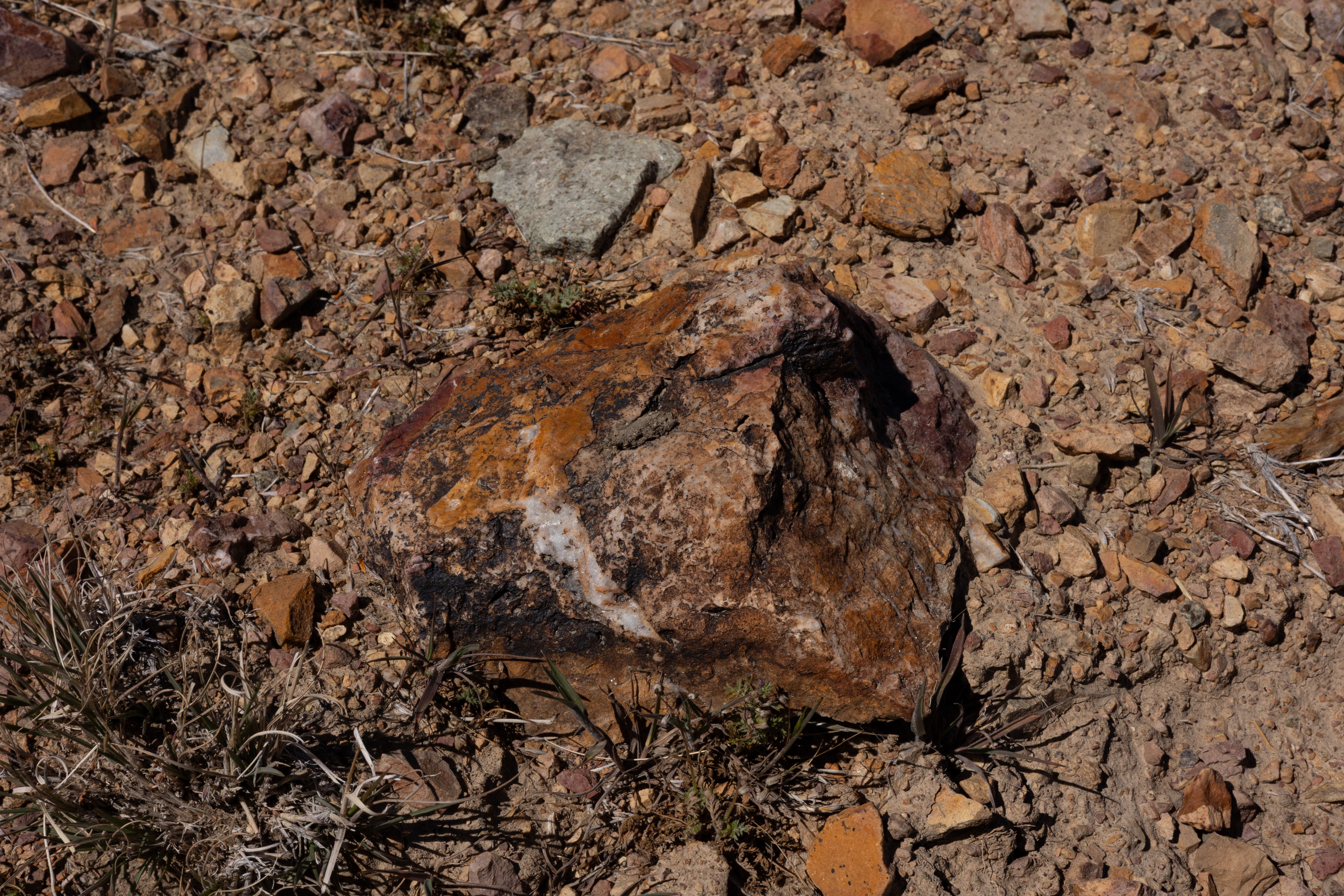 The Winna-Winner Claims — site photograph _61_6269