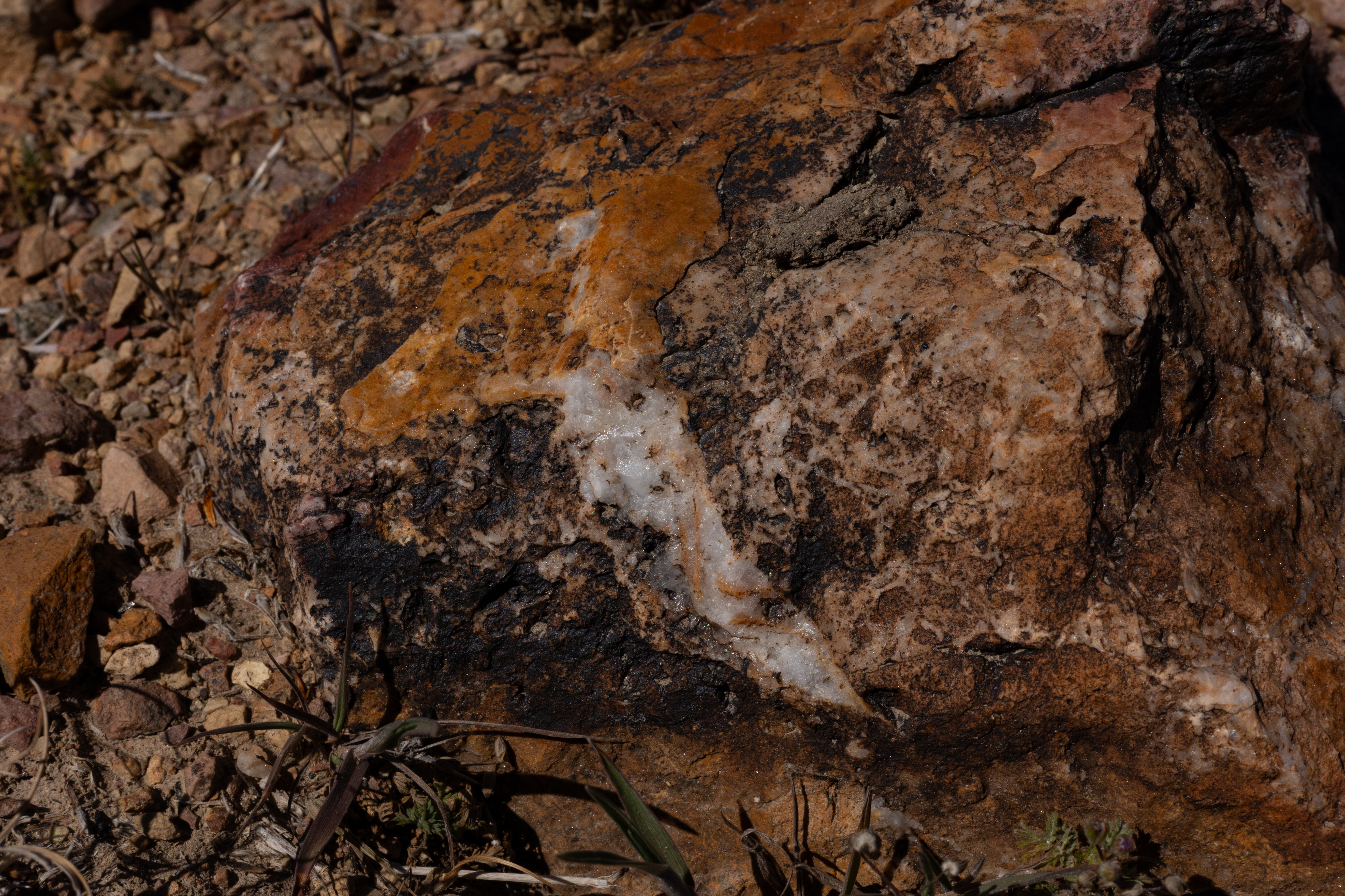 The Winna-Winner Claims — site photograph _61_6270
