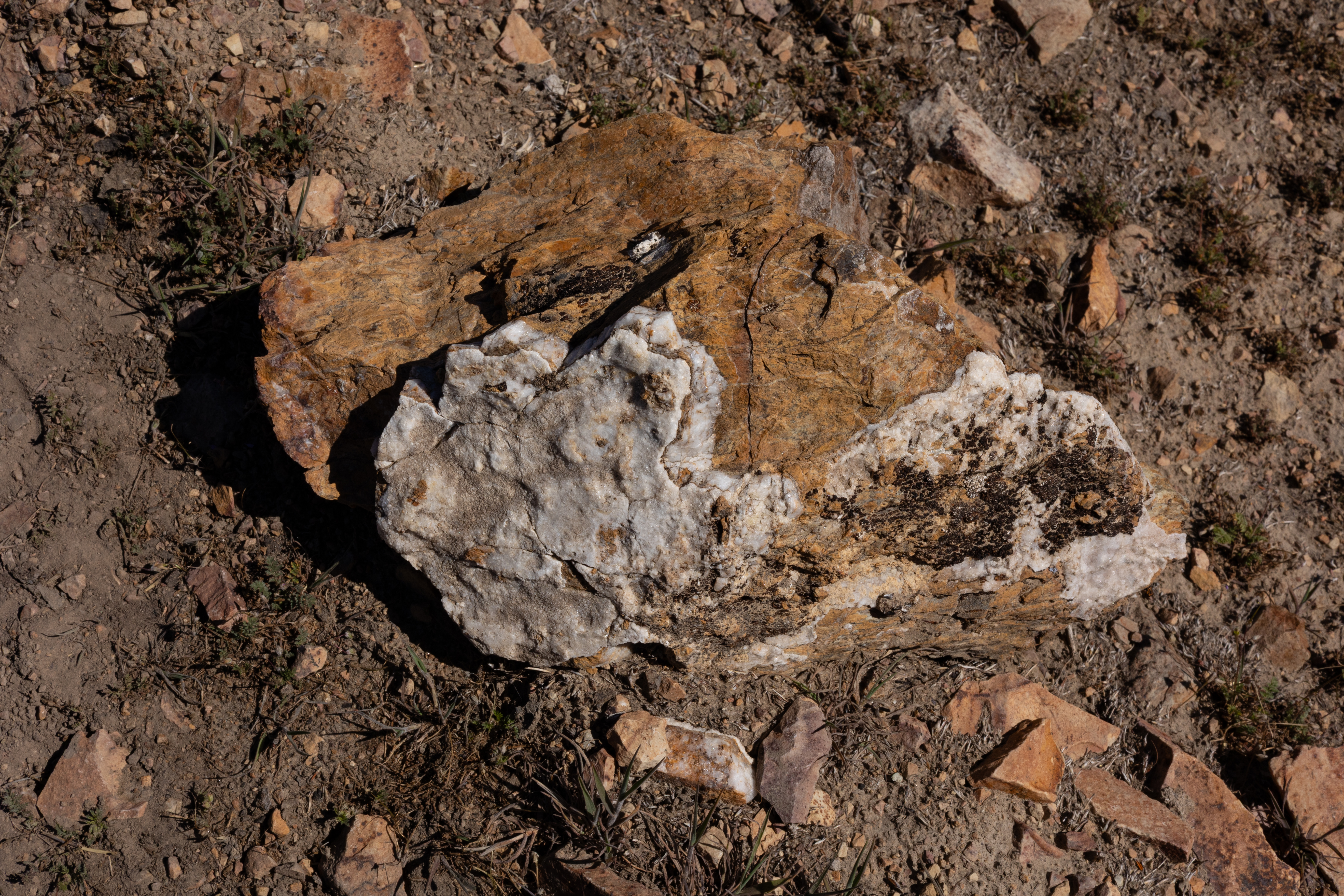 The Winna-Winner Claims — site photograph _61_6276