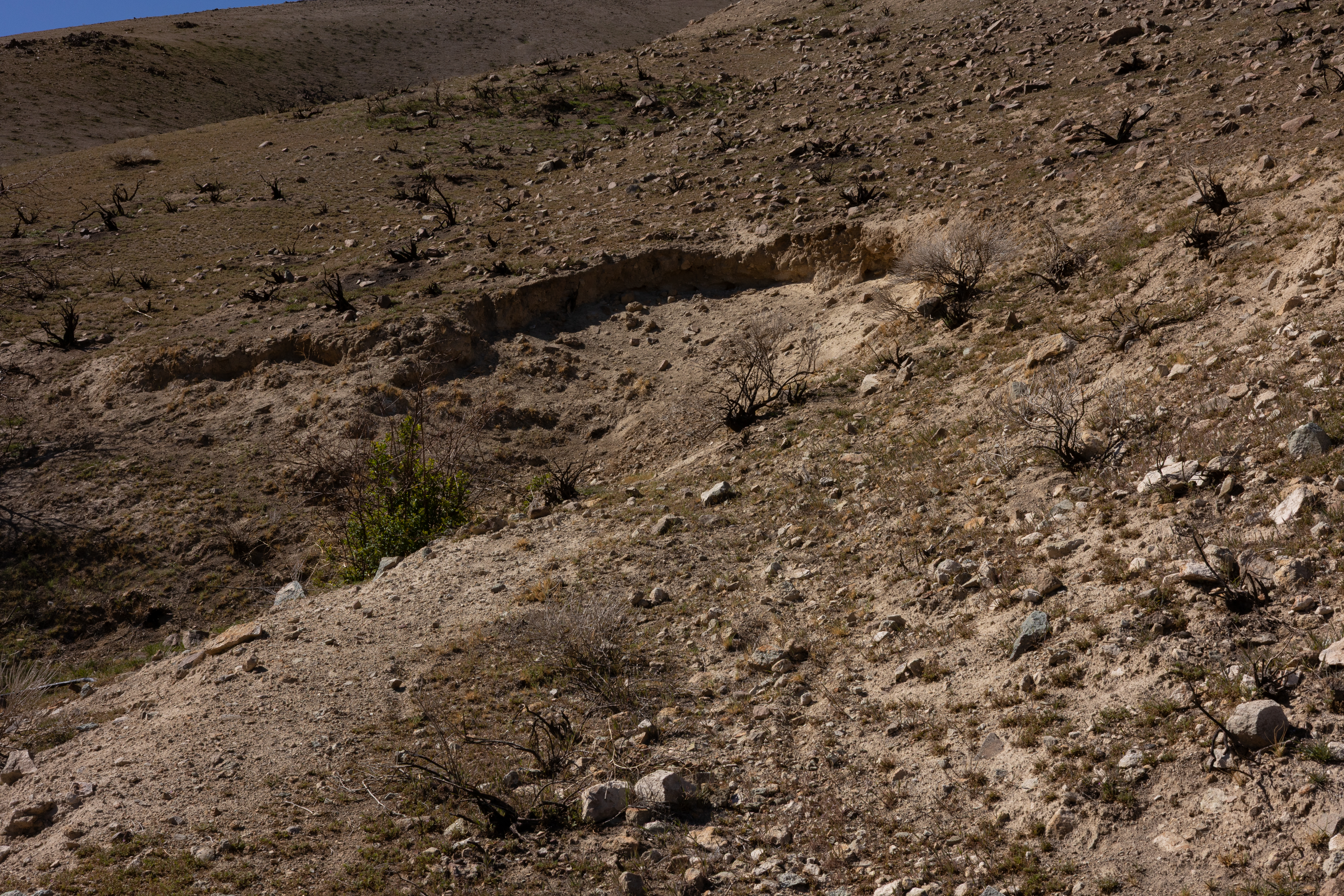The Winna-Winner Claims — site photograph _61_6279