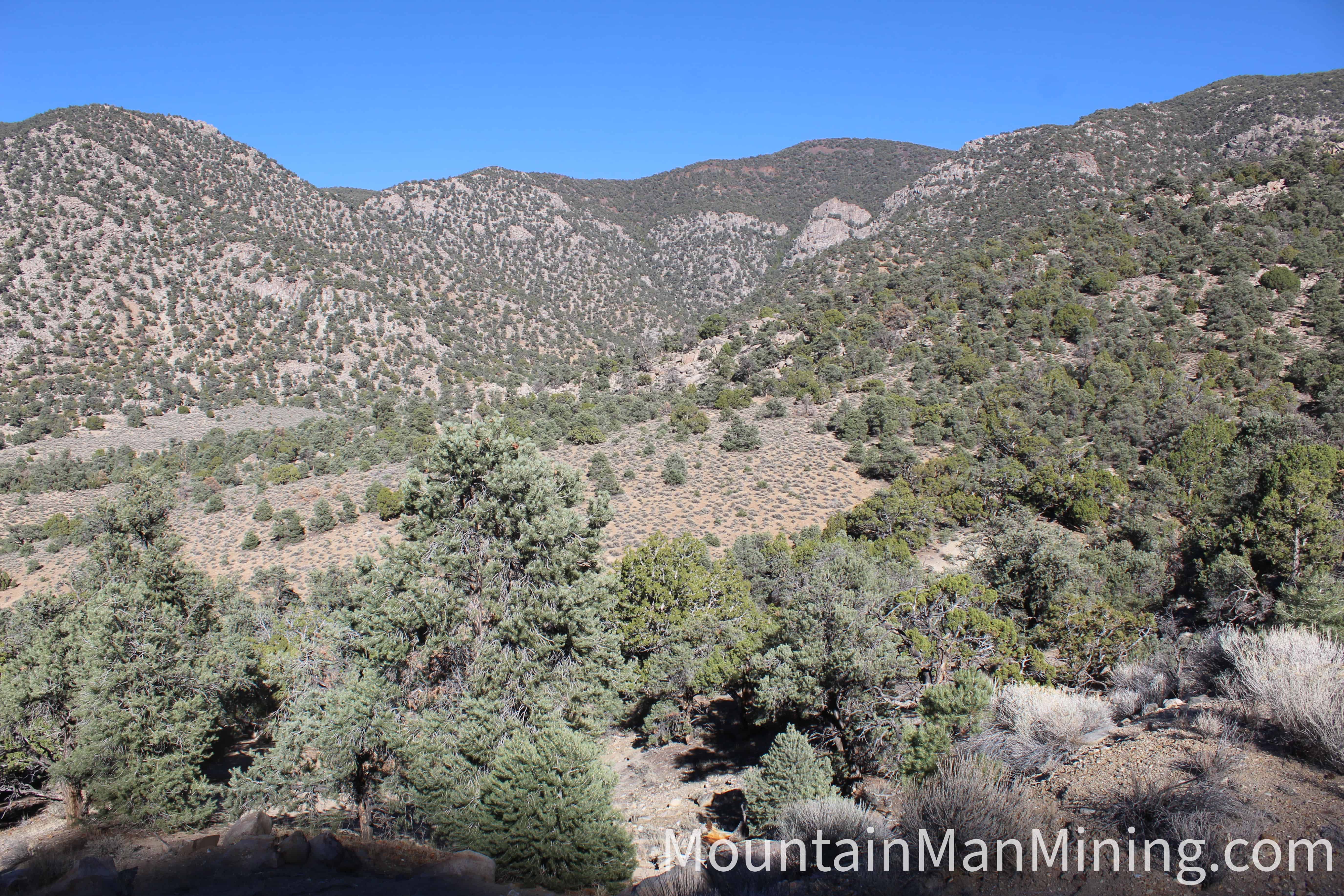 The Enriquez &mdash; Looking across the basin toward the Toquima crest