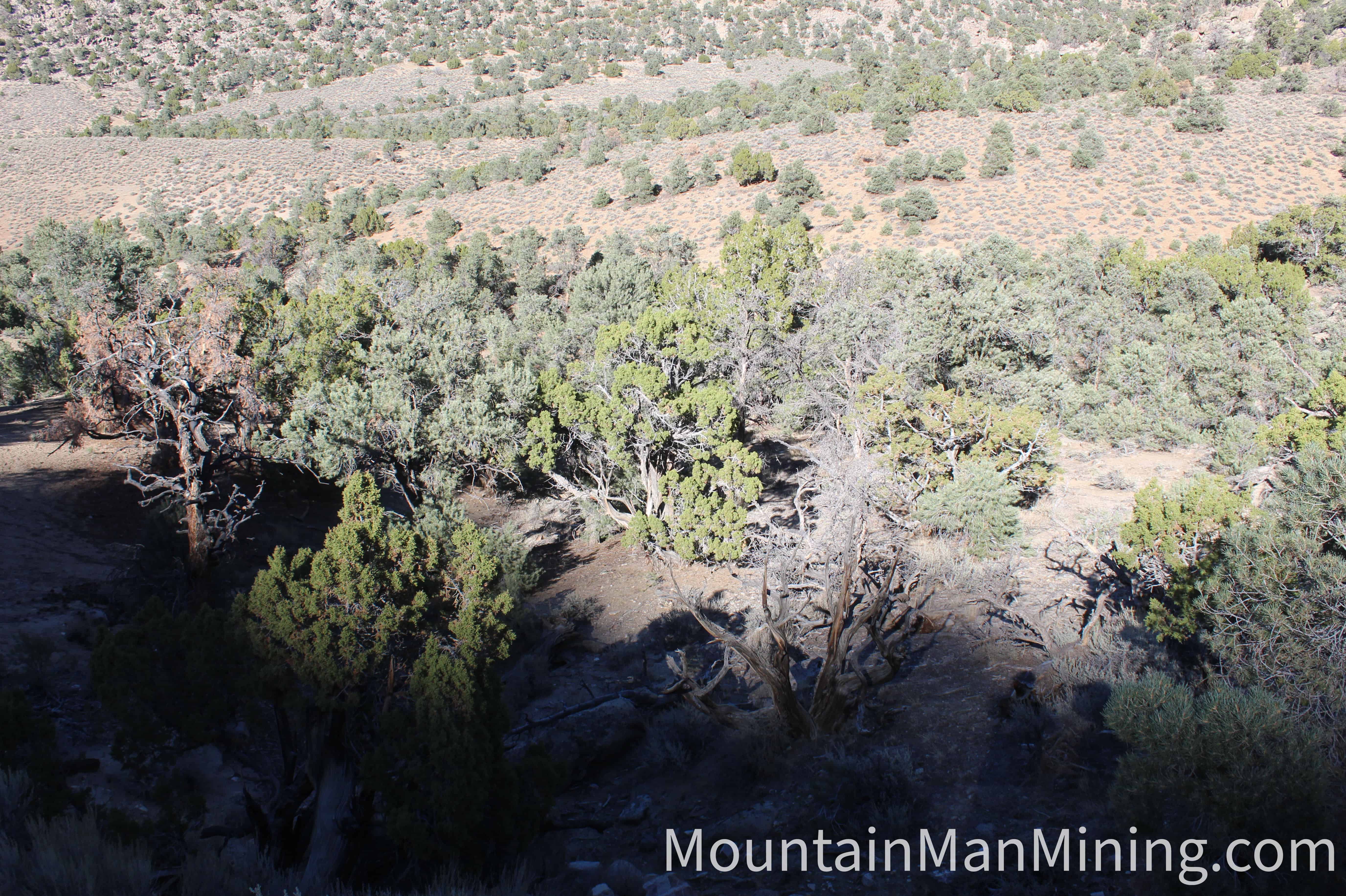 The Enriquez &mdash; Old cut on the structure with dump below