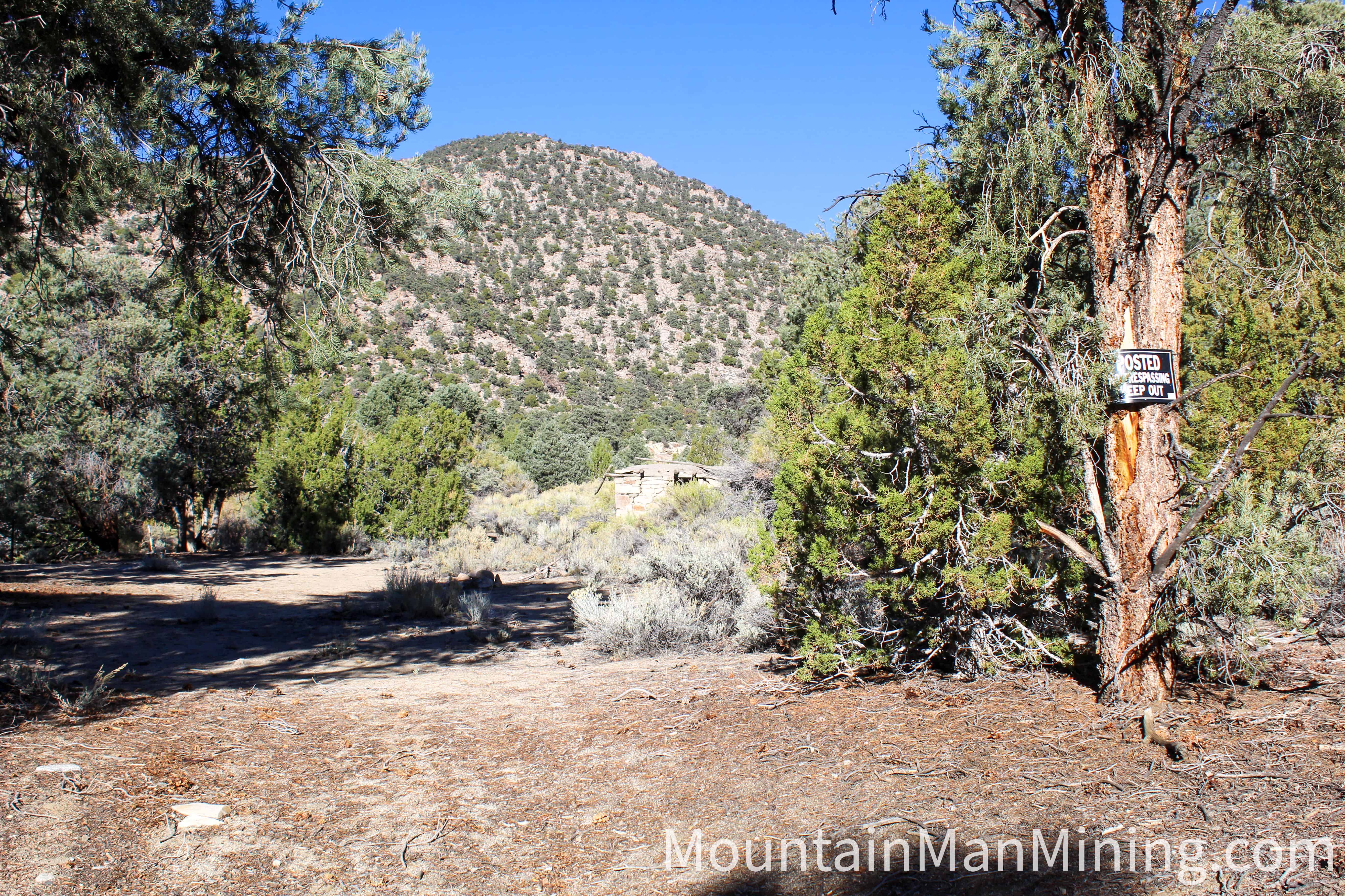 The Enriquez &mdash; Piñon and juniper on the slope above the workings