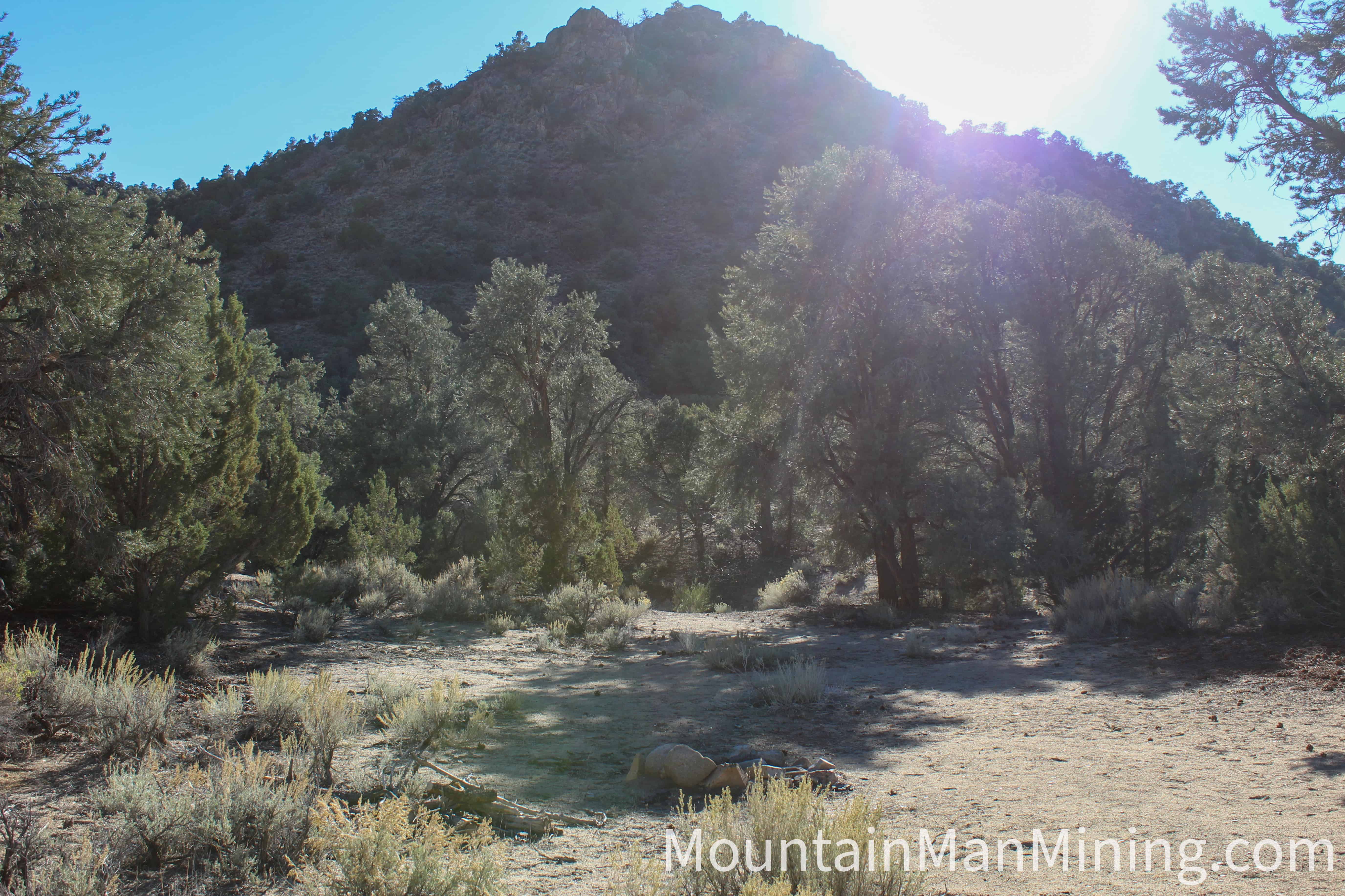 The Enriquez &mdash; Canyon approach to the claim