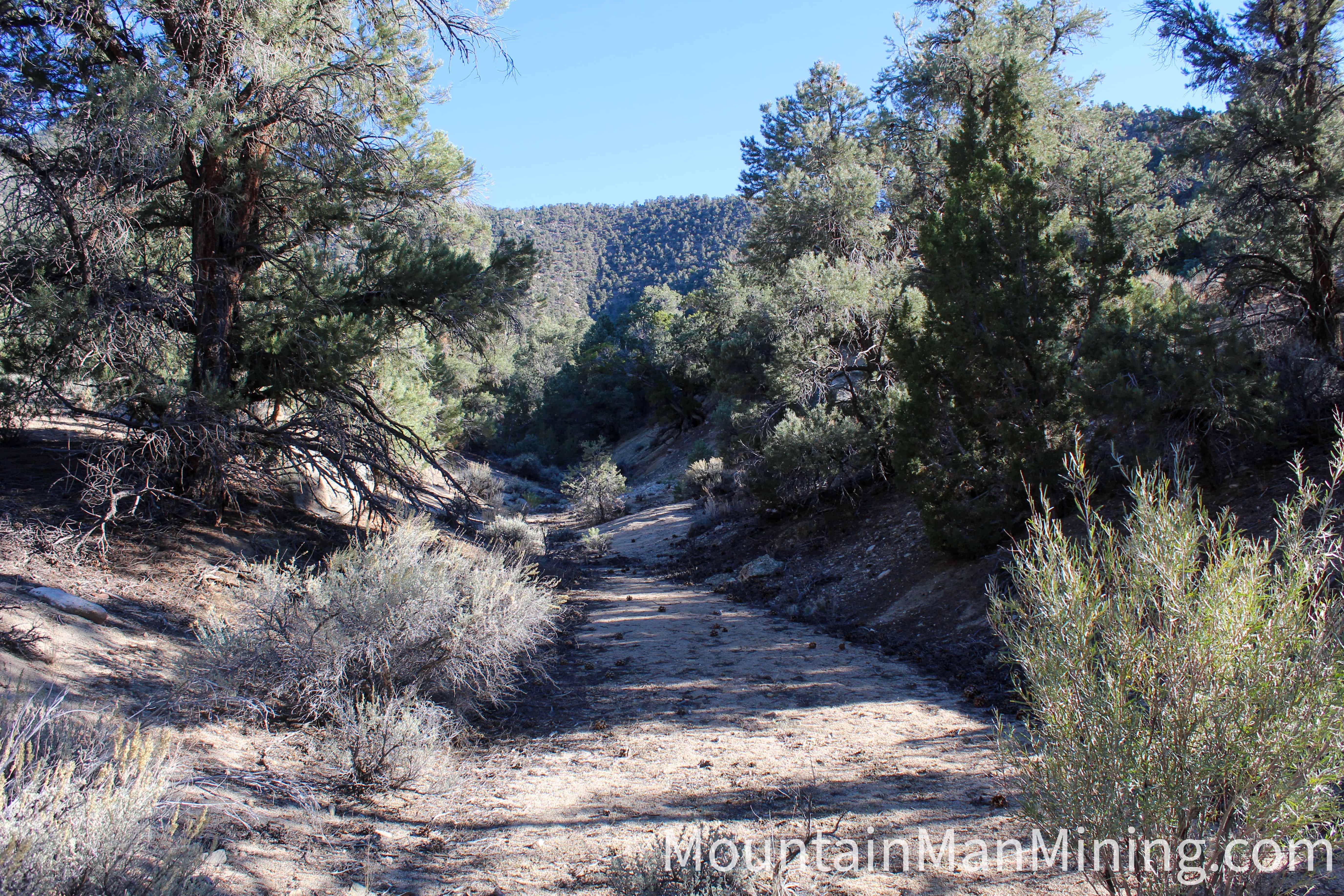 The Enriquez &mdash; Access road through the piñon-juniper