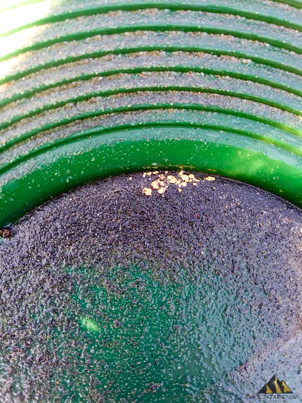 About a dozen pieces of 30- gold in the pan!  Taken from the sample hole shown above.