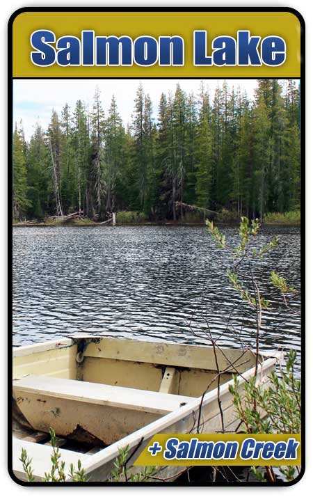 salmon lake gold placer claim for sale