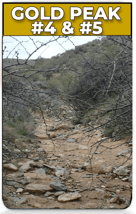 gold peak placer claim