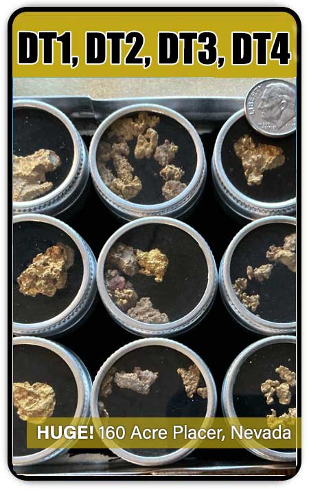 dt1-dt 4 placer gold baseball