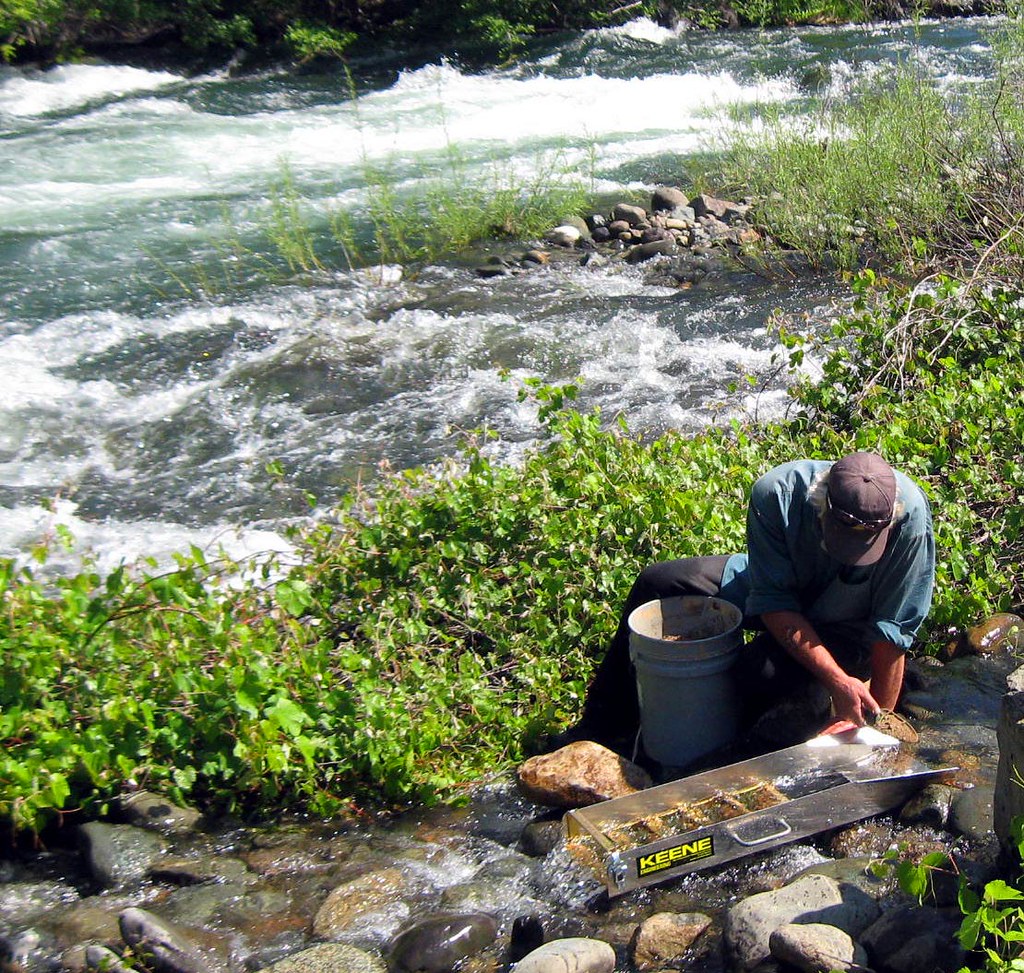 gold prospecting 2