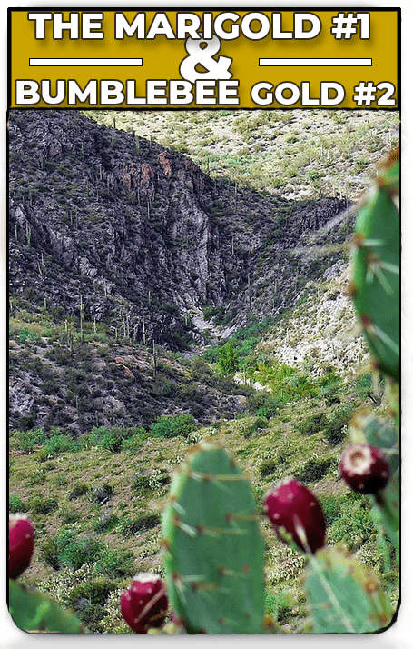 marigold and bumblebee baseball