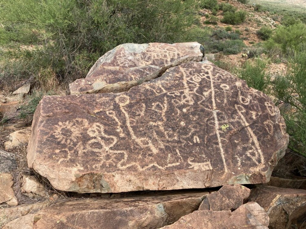 petroglyph-marigold-bumblebee