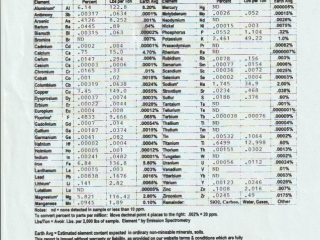 Scan 19