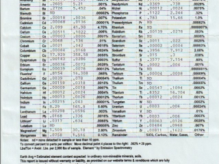 Scan 22