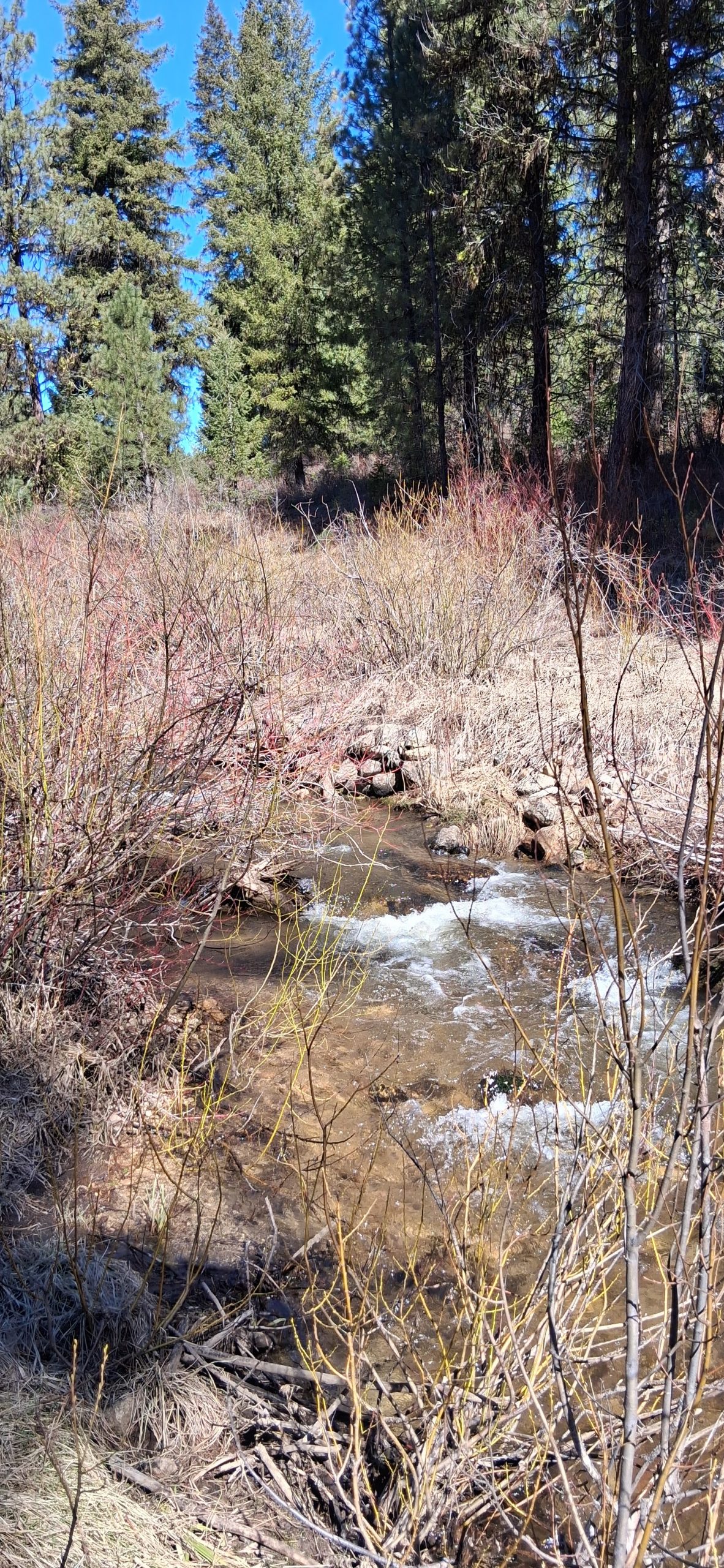 The Boulder Creek, a gold claim idaho that is just, idaho, waiting around for you to buy it!