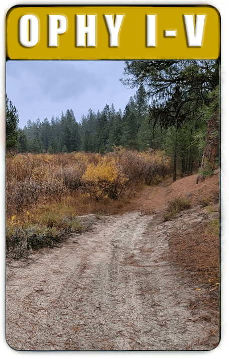 Ophy I-V Unpatented Idaho gold placer claims — Boise Co., Idaho